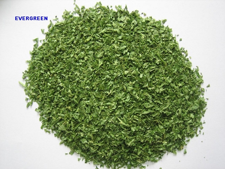 Freeze Dried Parsley leaves